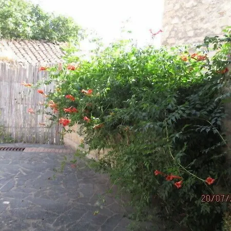 Bed & Breakfast Sa Dom'e Forru Collinas